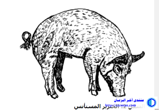 تاريخ الخنزير وانتشاره وادي النيل